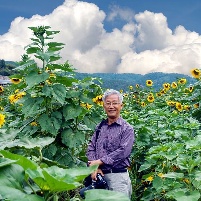 叶思芬说金瓶梅