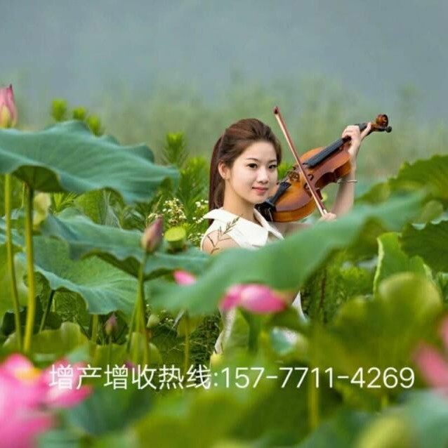 广西太美特种肥料-梁艺