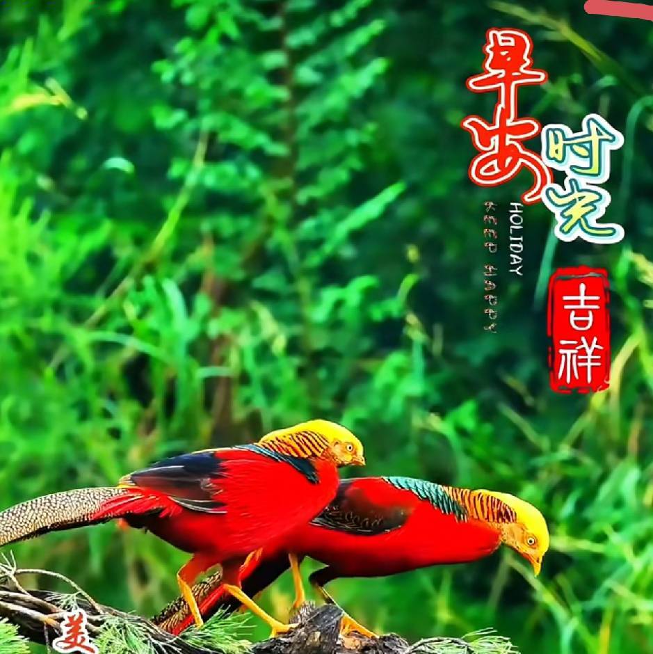 风雨兼程