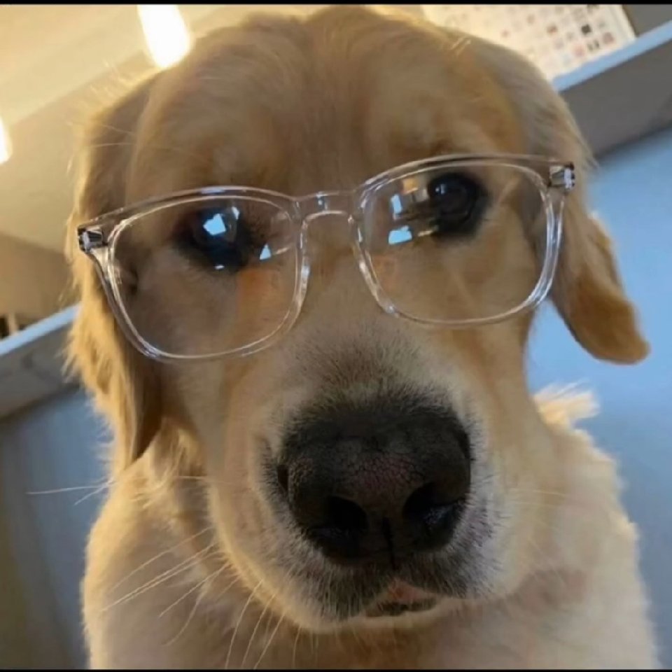 良好市民欢乐年年