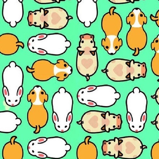 广州蔚特尔网络科技有限公司