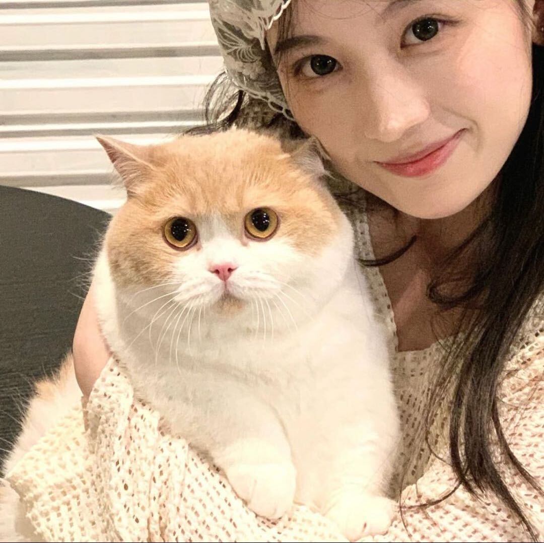 人群是那么像羊群