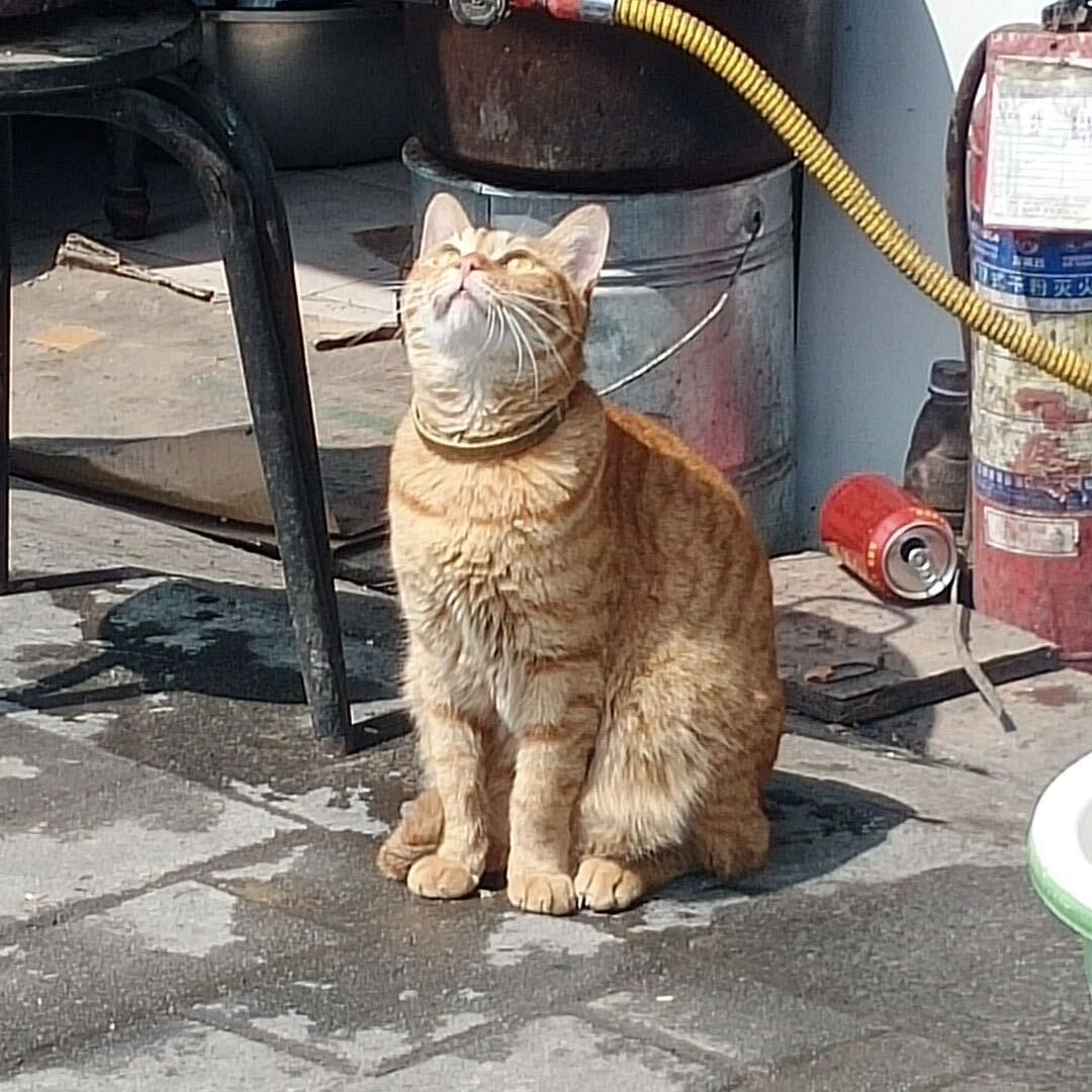 章亮节