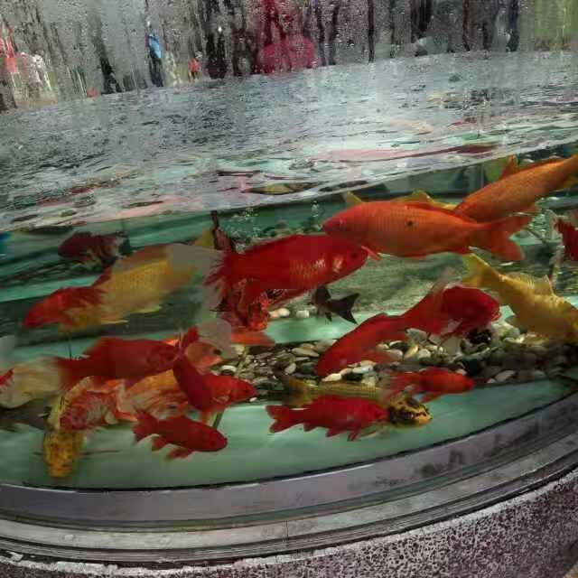 琼浆玉液