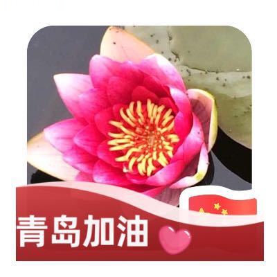 用戶頭像