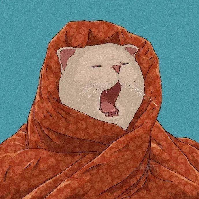 奶猫