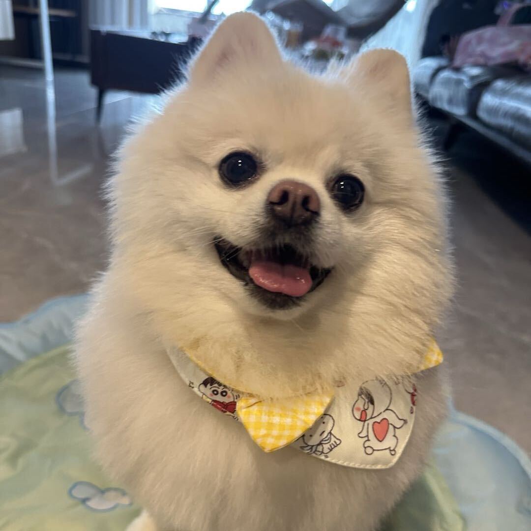 peanut