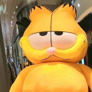 秋天，落叶
