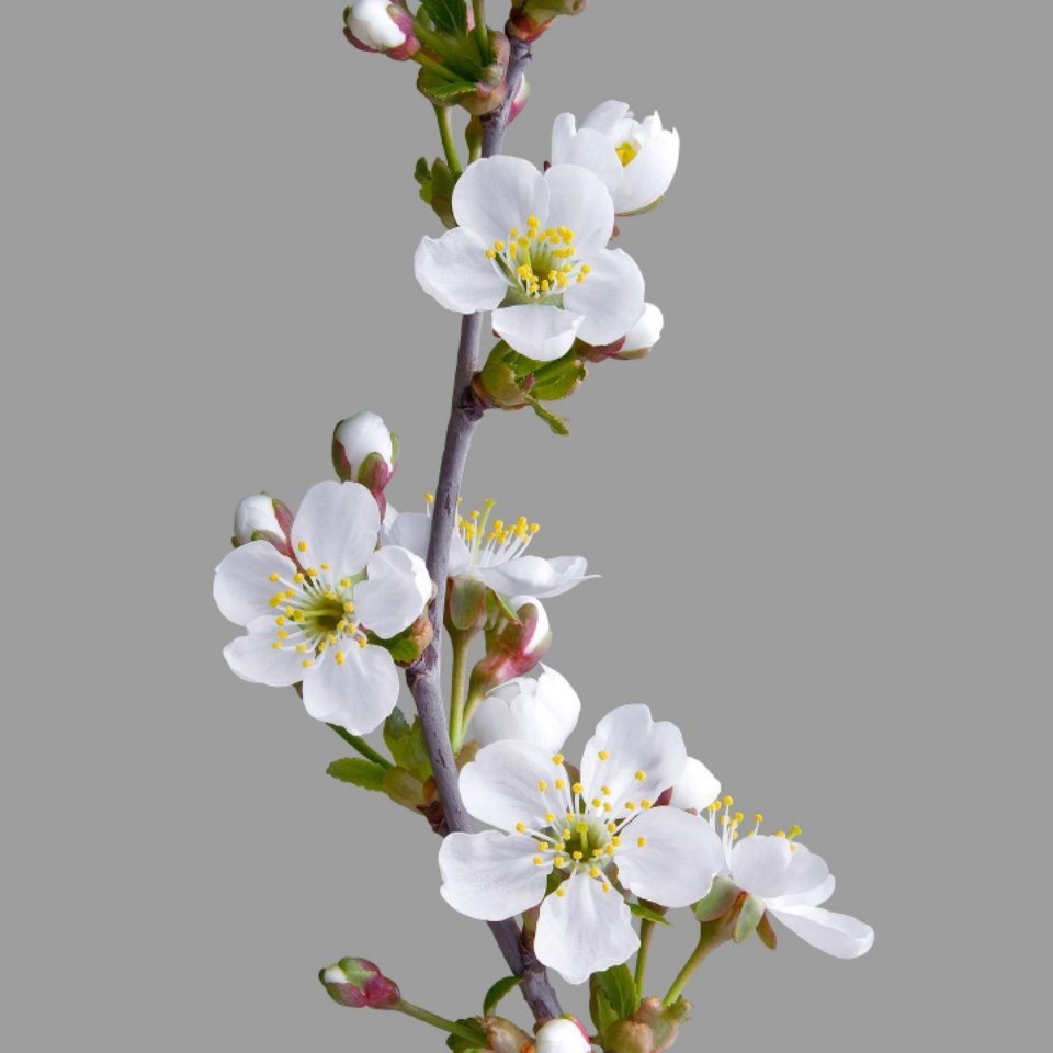 jiaogui.@,;$"包谷   15078360745