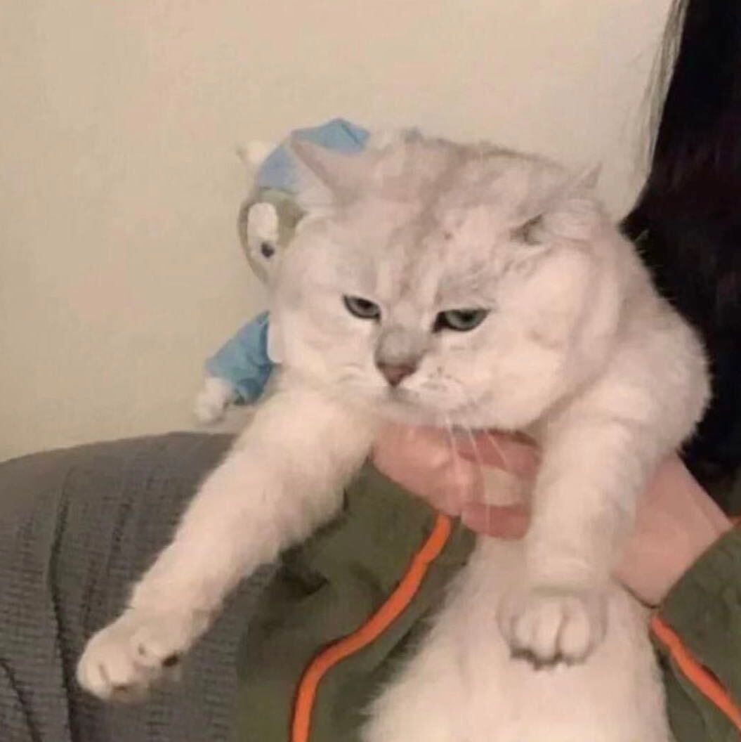 TT