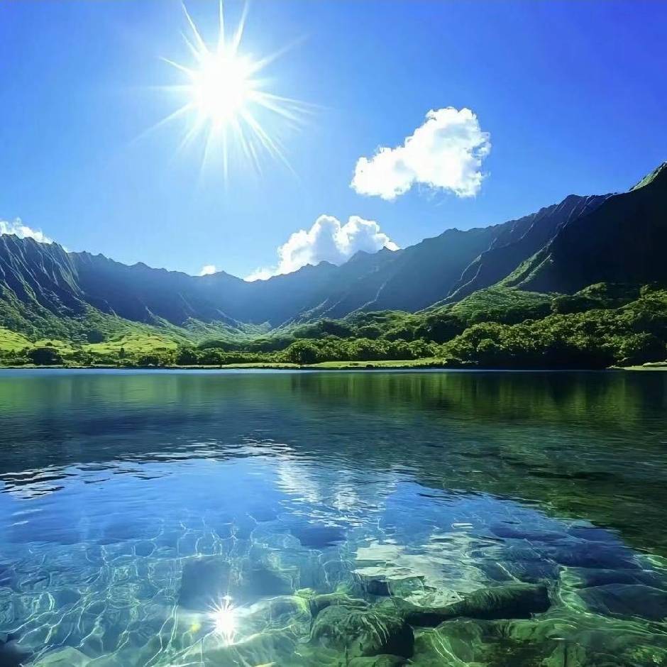 🌾沐浴阳光