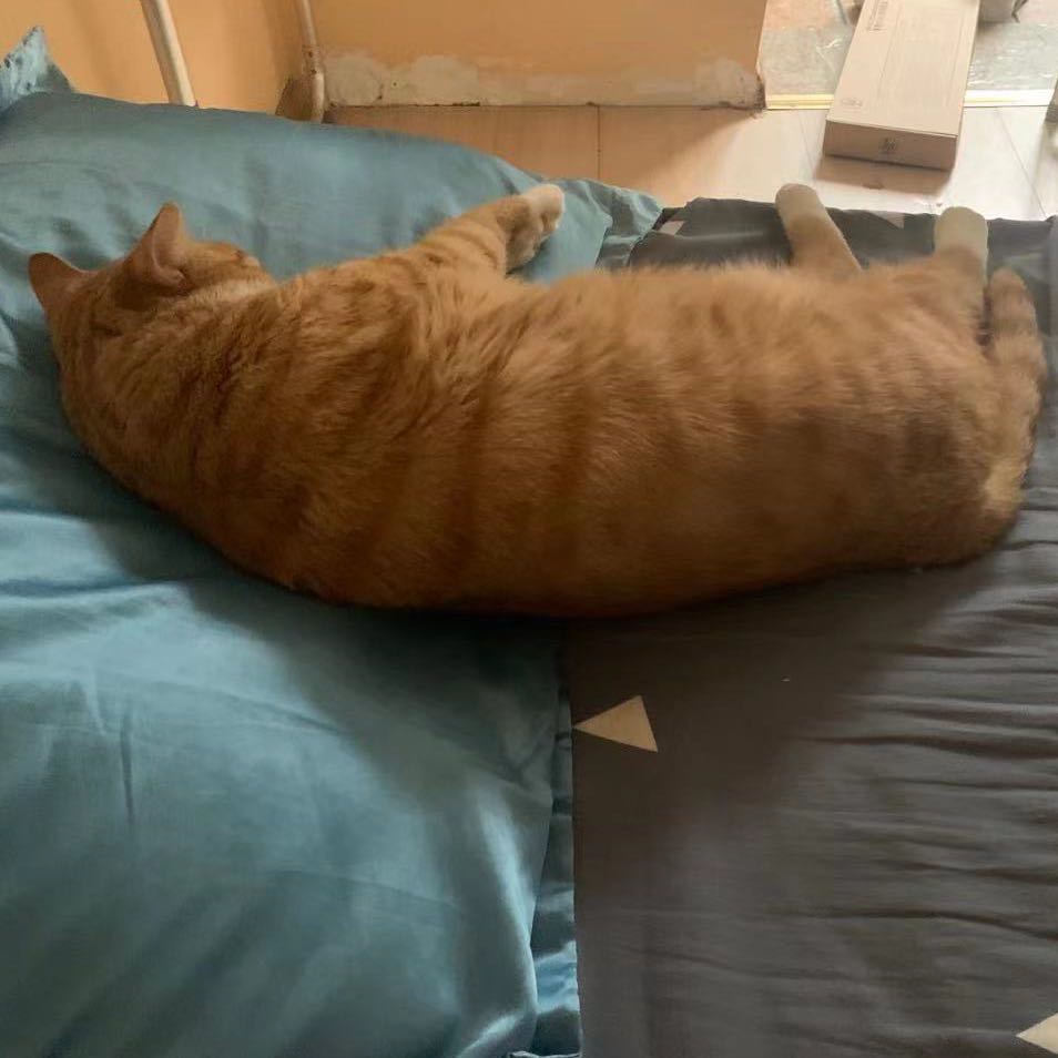 茫茫人海再难寻你