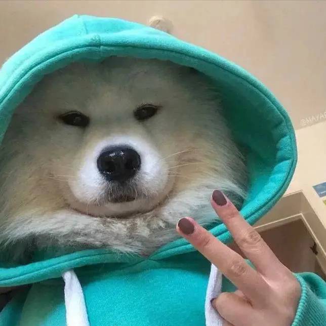 CH｡