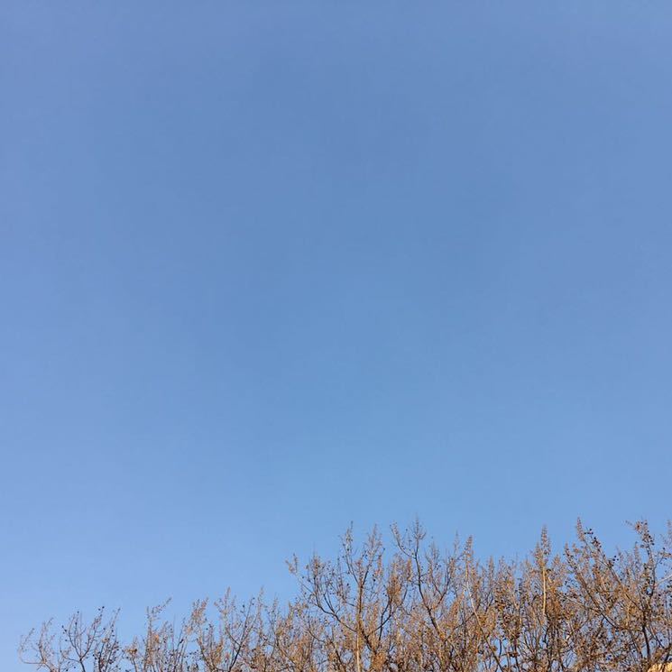 田诗坤