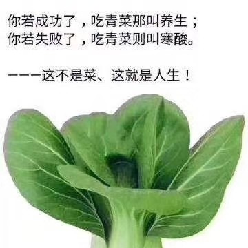 把剑刚