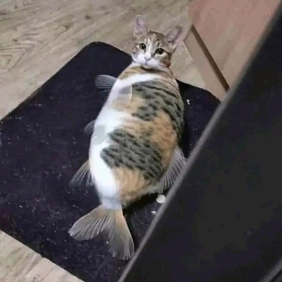 àǒωǒЬ