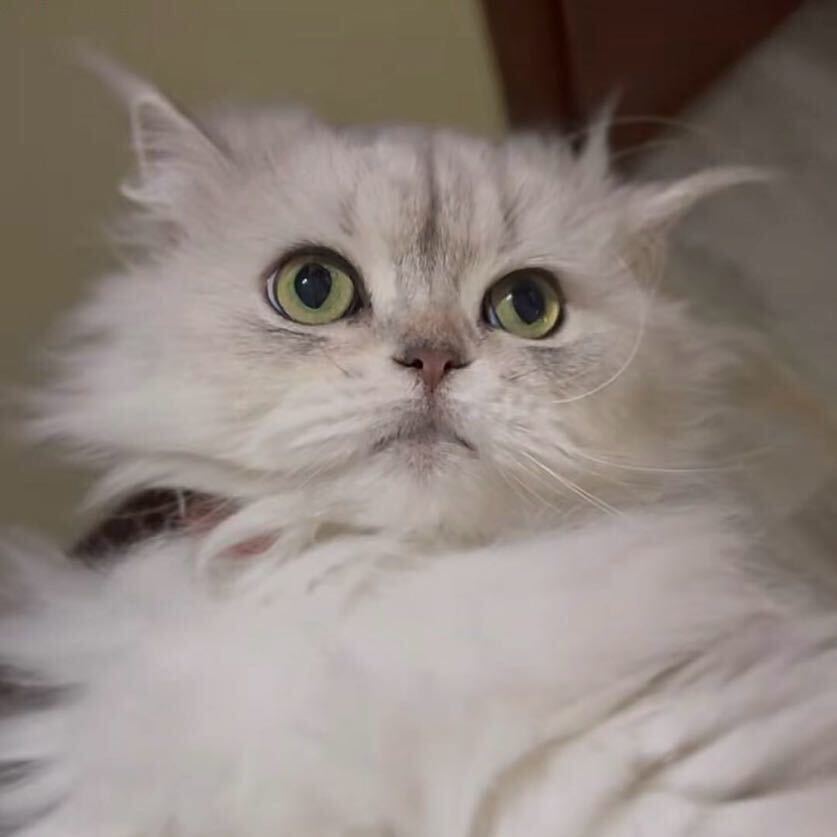 五块钱怎样花三天