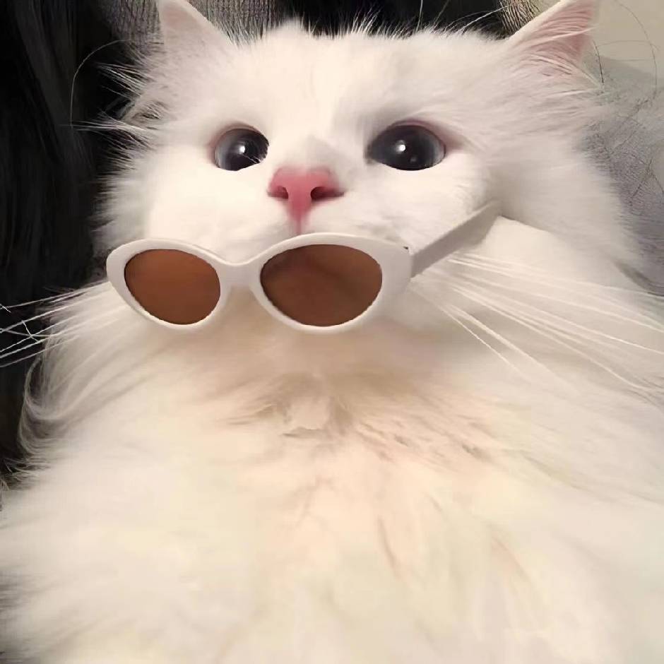 Cc