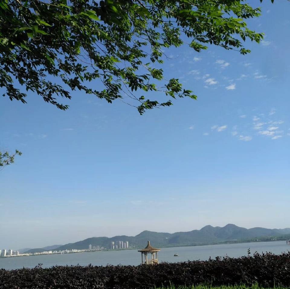 用戶頭像