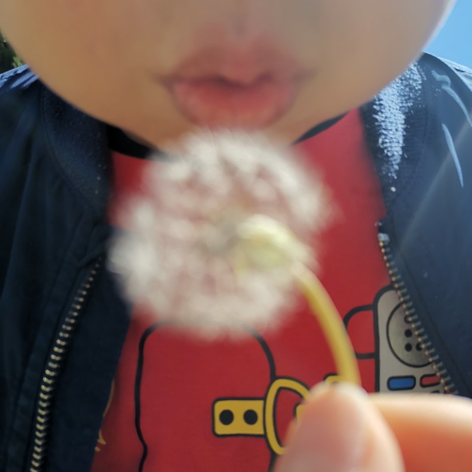 彭wl