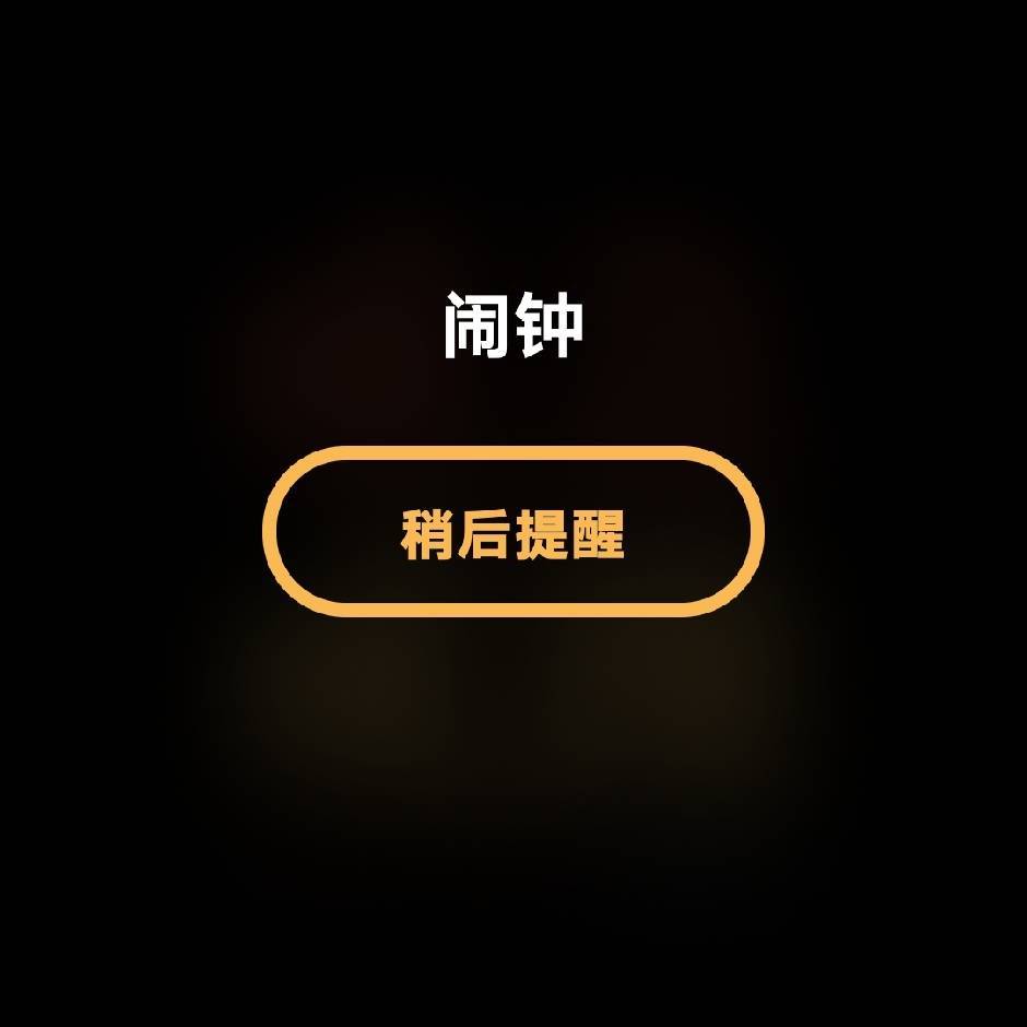 软件开发