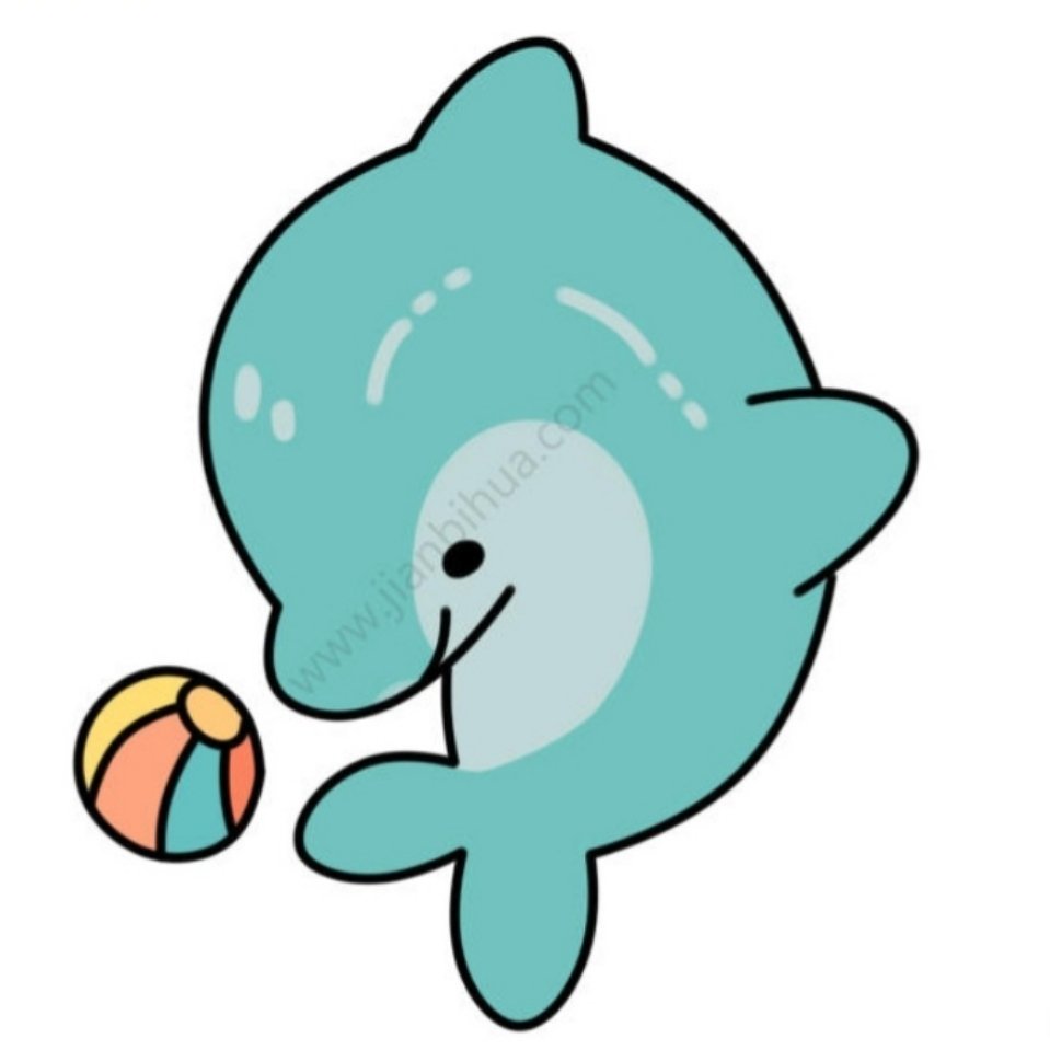 小🐬