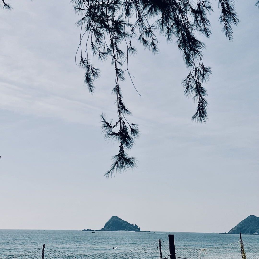 风轻云淡