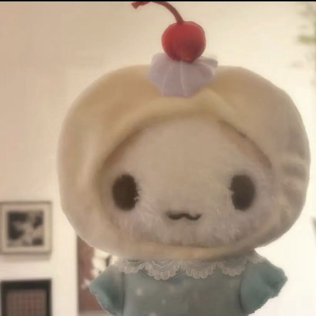 瓜子壳壳