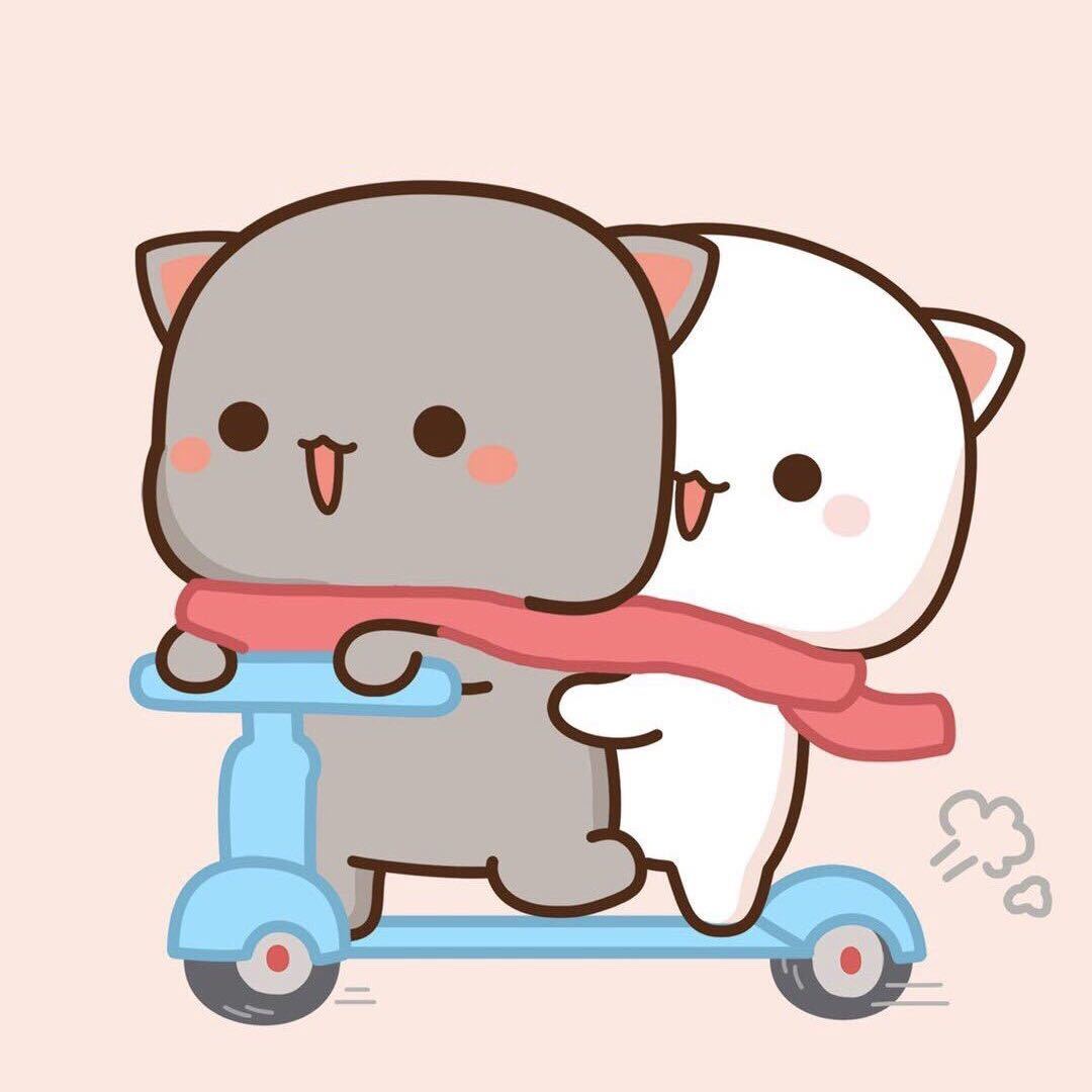 七个字的小喵喵🐱🐱