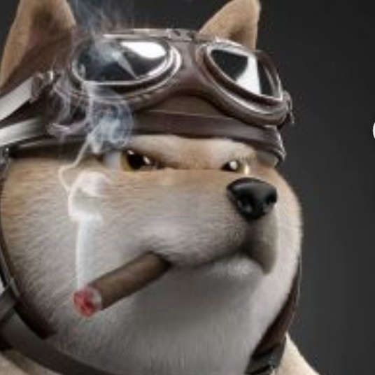 熊溜了十年的老头子
