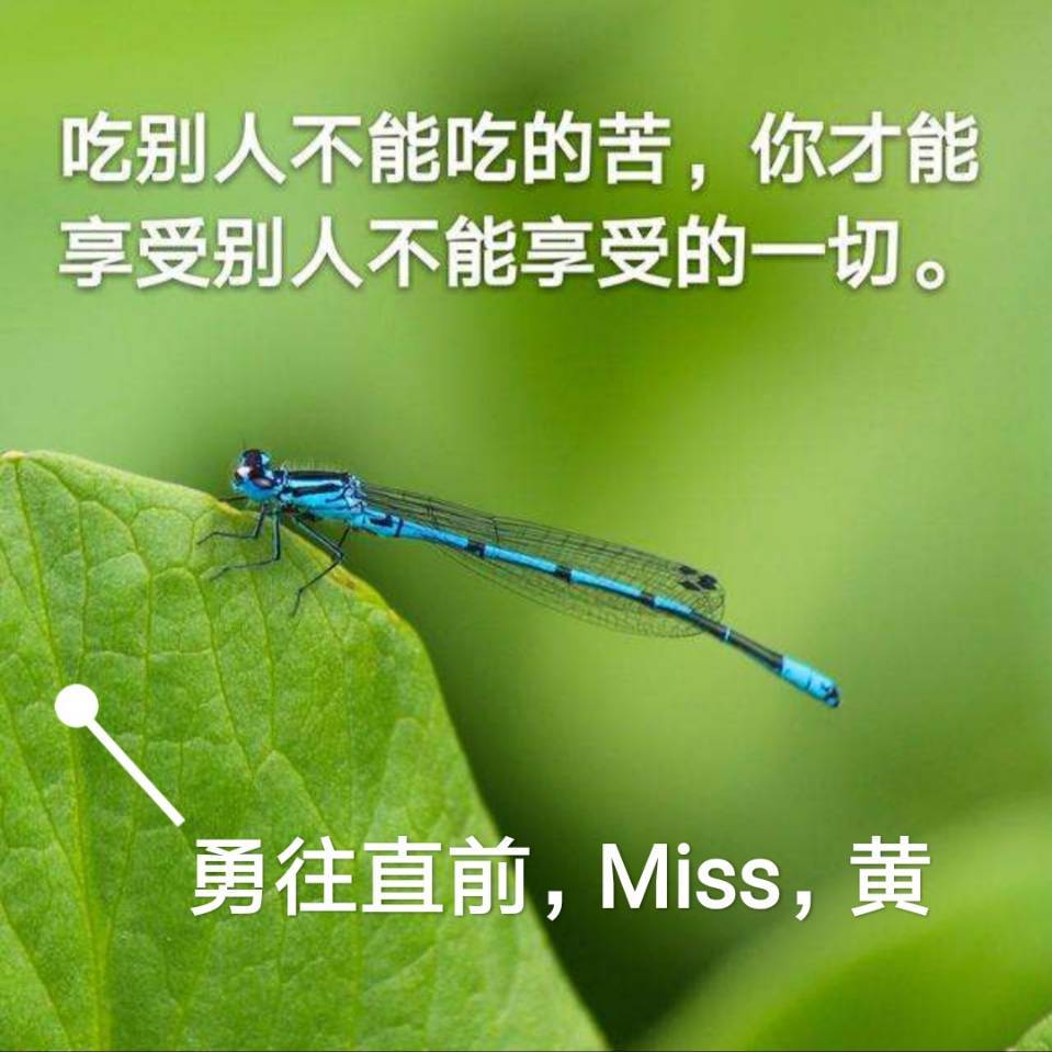 用戶頭像