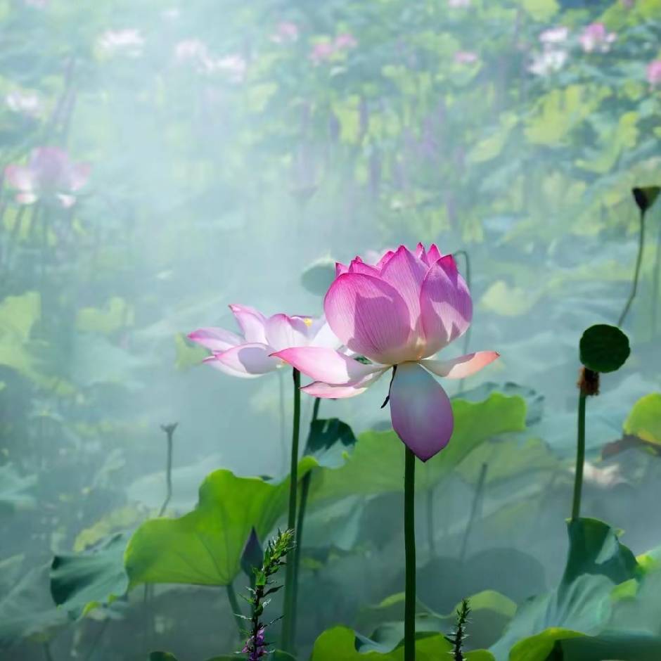 涓滴成河