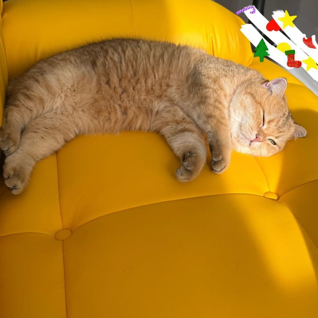 我得吃个鸡蛋了