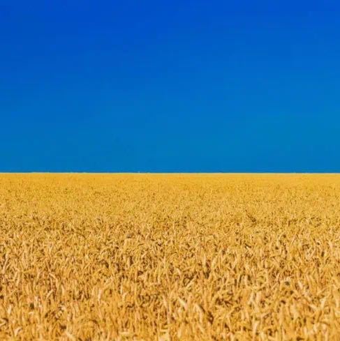 🇴 🇱 🇮 🇻 🇪 🇷