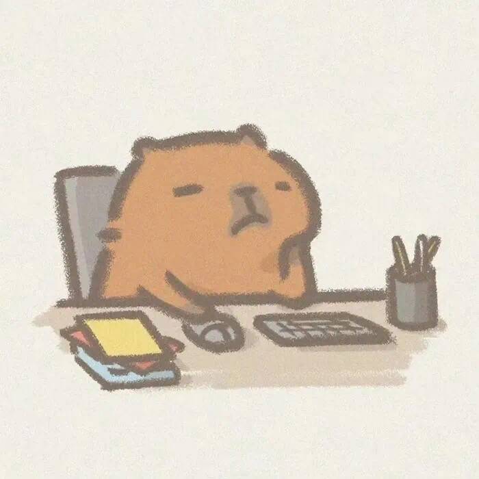 这个程序员不太冷