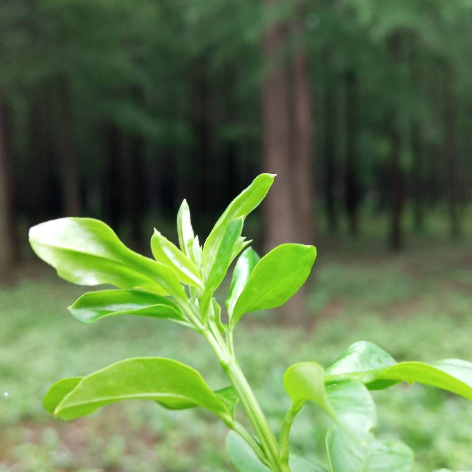 喂！お别回头-_-!