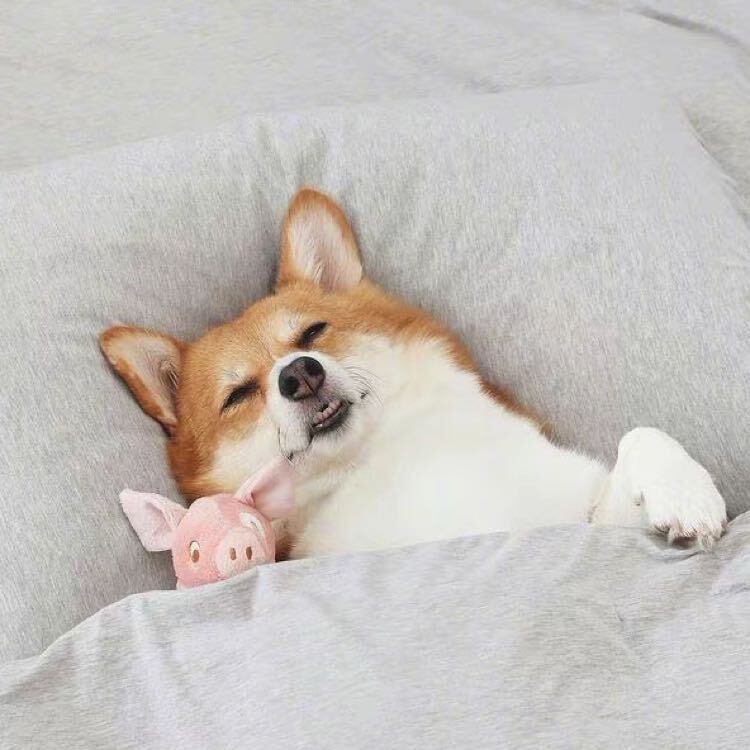 余哎呀