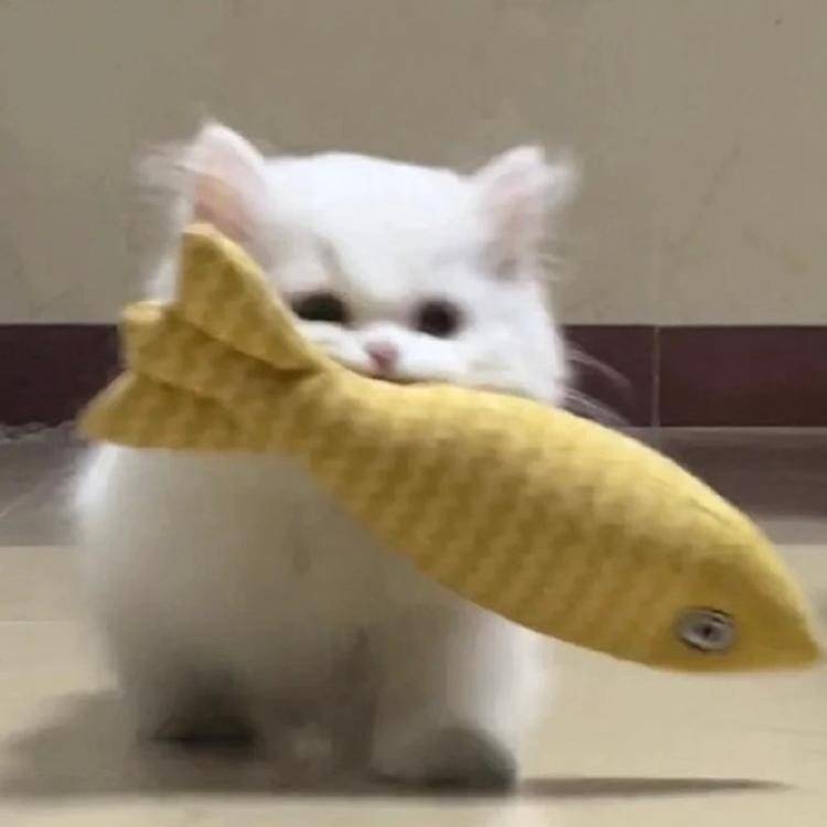 Serendipity