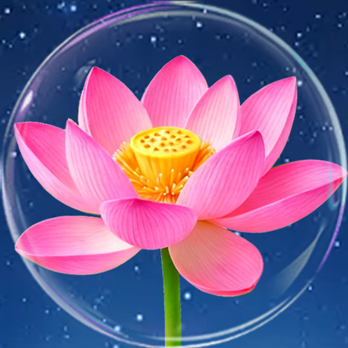 消消花儿