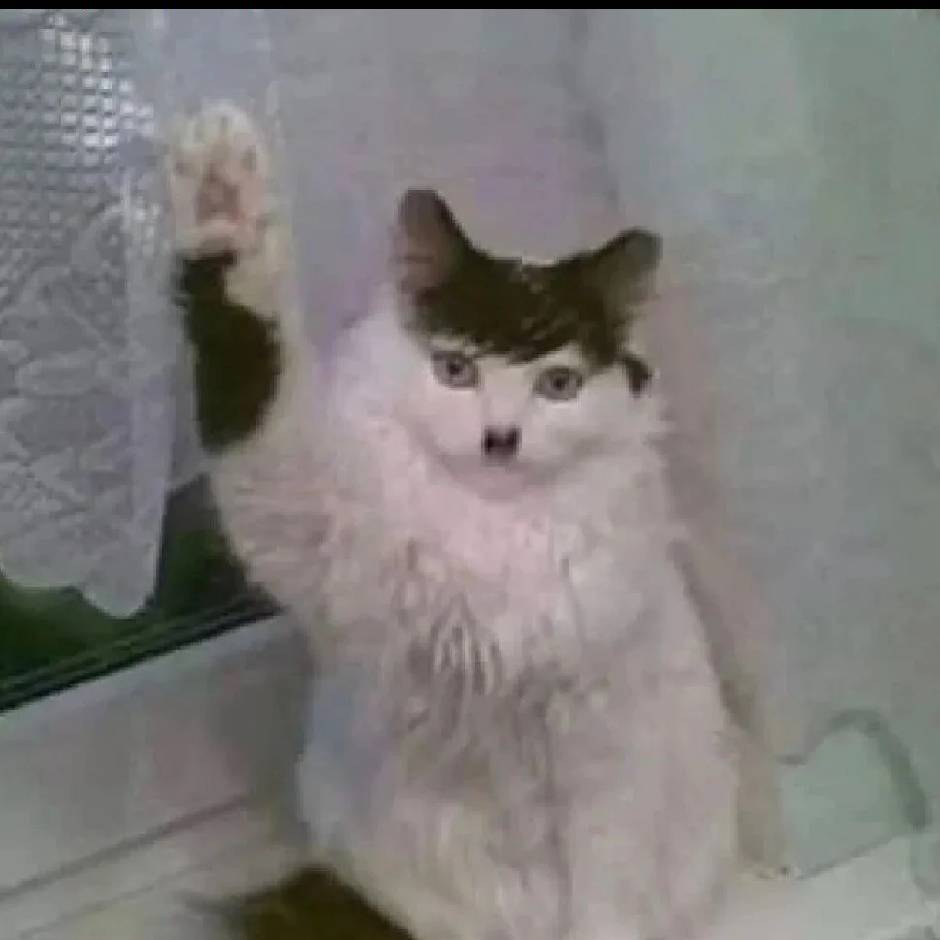 鲲鹏