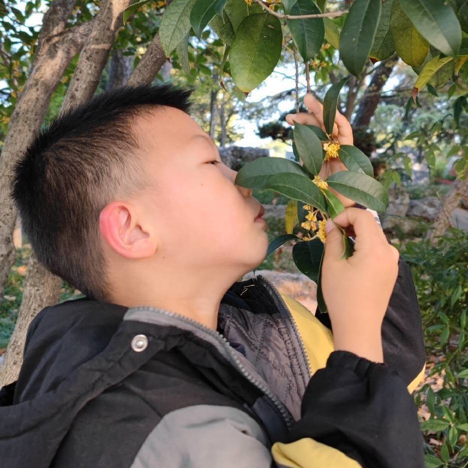 许全通