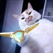Zdxfgre