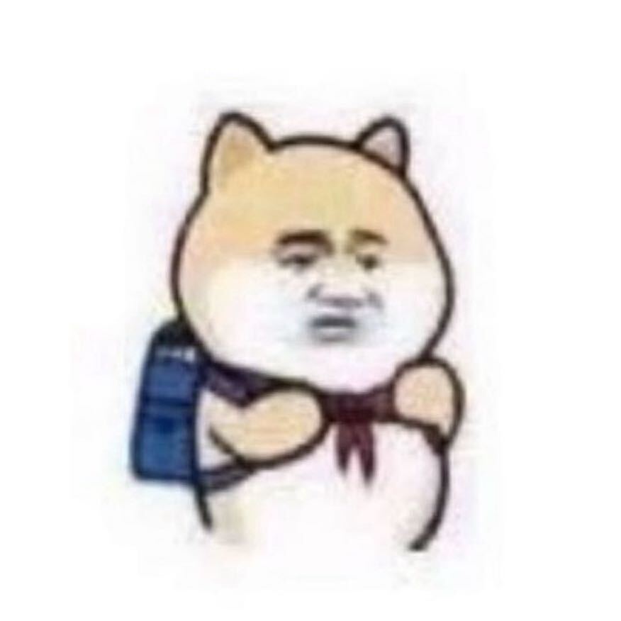 23256