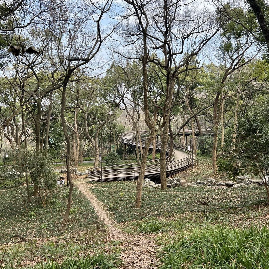 大天
