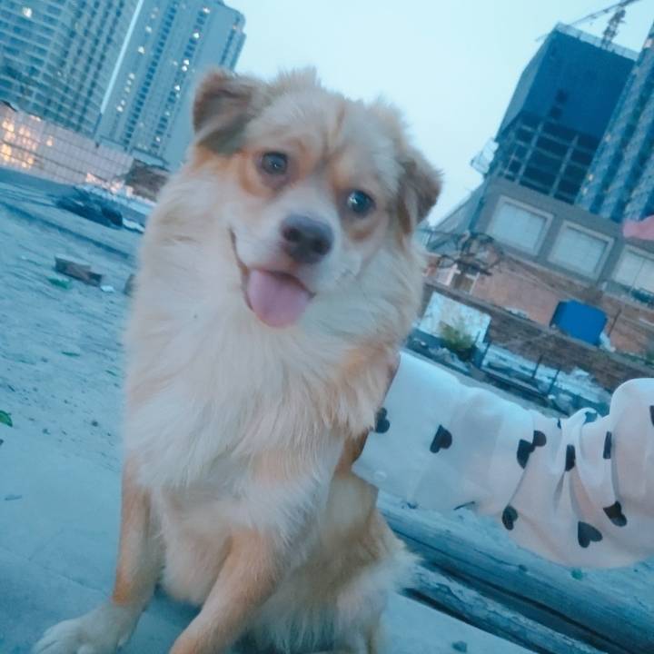用戶頭像