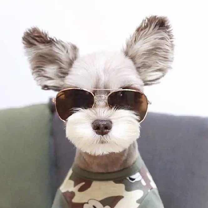 宇宙超级无敌帅帅灰丶