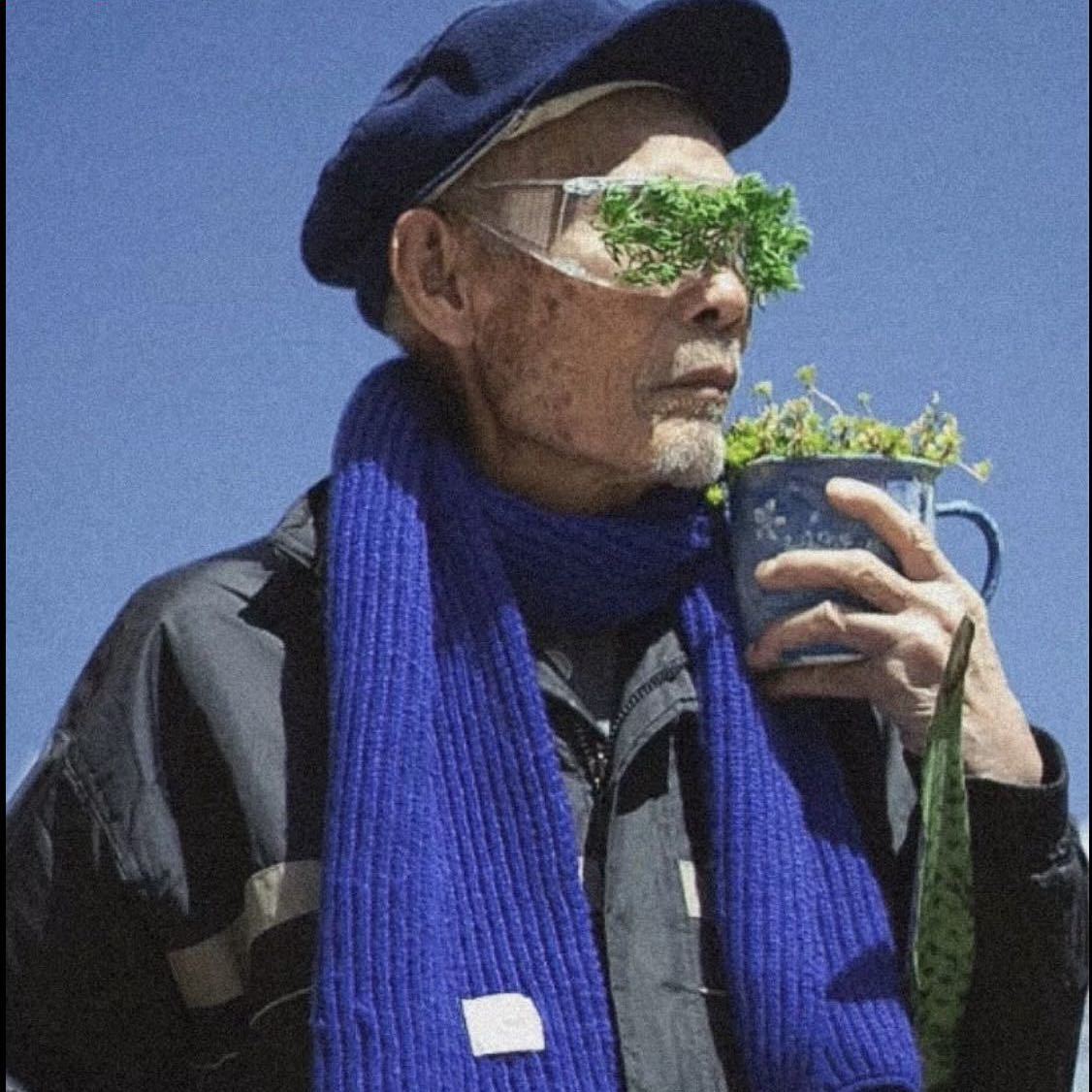 佛照灯
