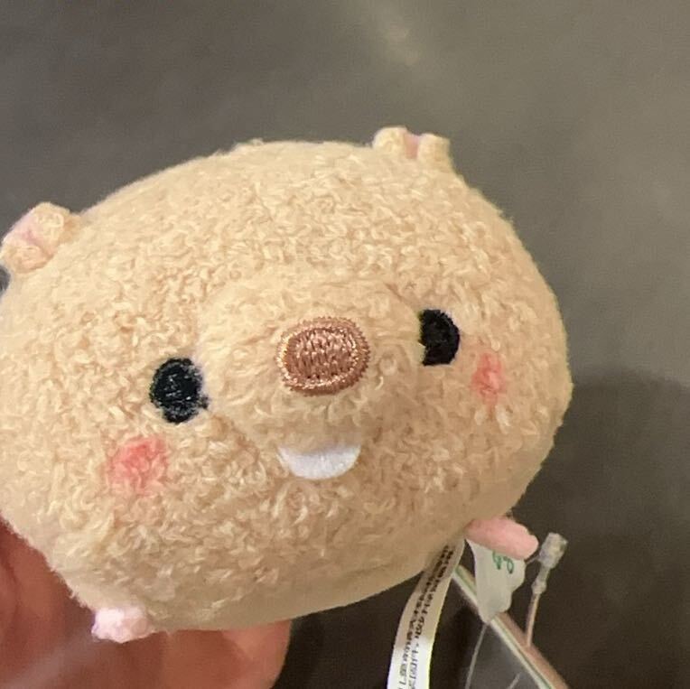 .🐑.