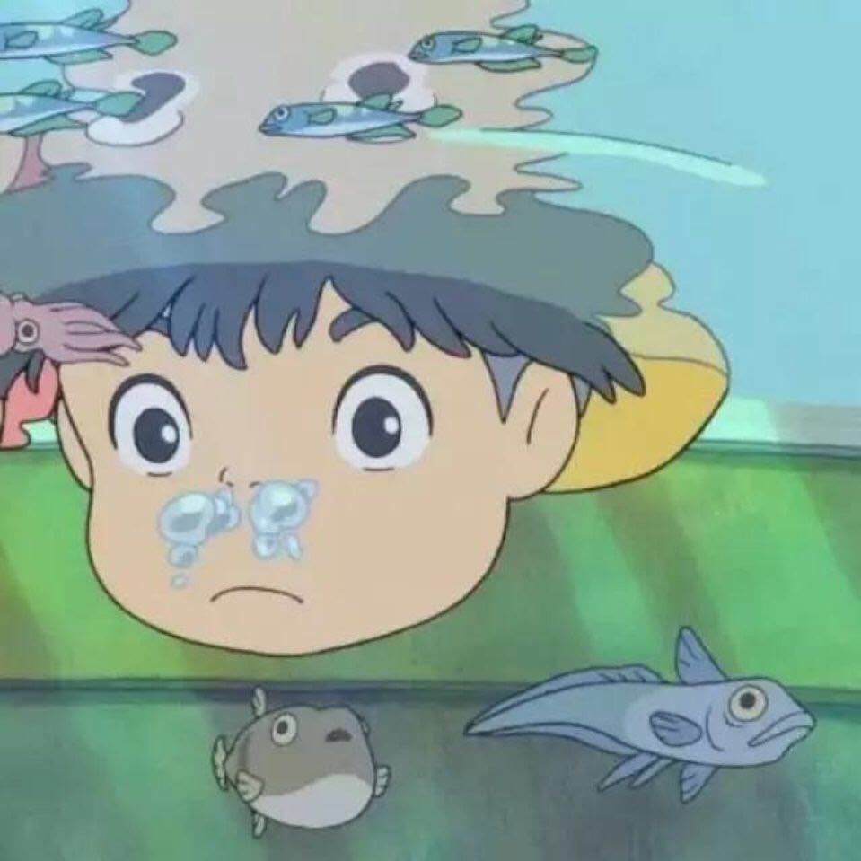 三国志（文白对照）上册