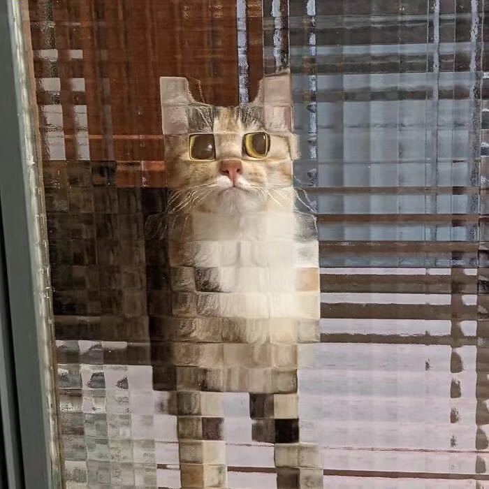 peekaboo